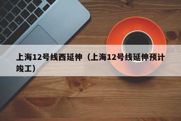 上海12号线西延伸（上海12号线延伸预计竣工）