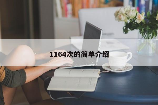 1164次的简单介绍