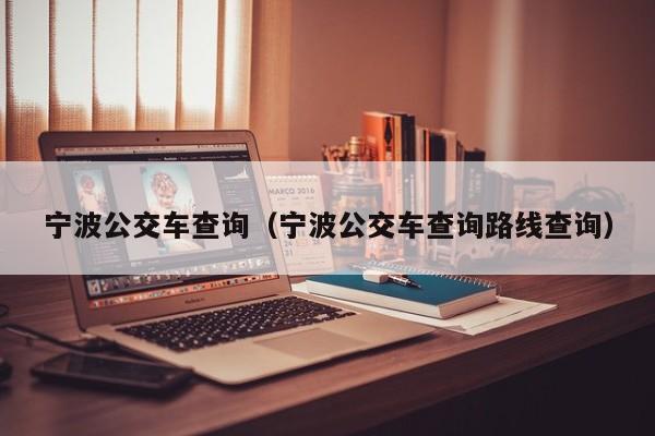 宁波公交车查询（宁波公交车查询路线查询）