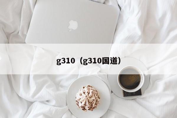 g310（g310国道）