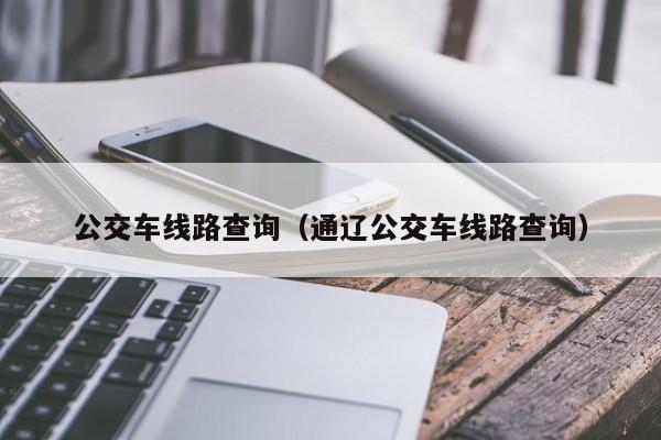 公交车线路查询（通辽公交车线路查询）