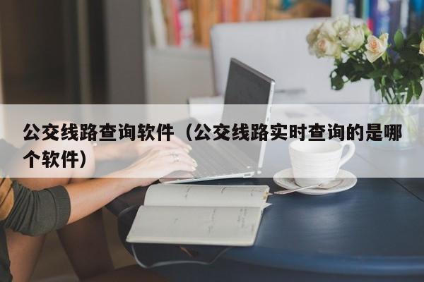 公交线路查询软件（公交线路实时查询的是哪个软件）