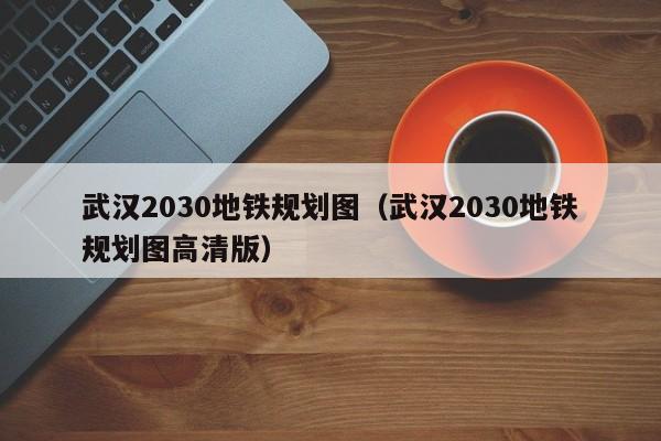 武汉2030地铁规划图（武汉2030地铁规划图高清版）