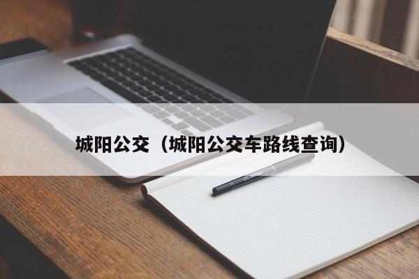 城阳公交（城阳公交车路线查询）