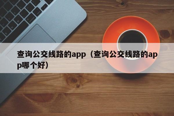 查询公交线路的app（查询公交线路的app哪个好）