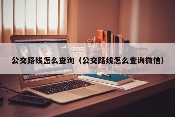 公交路线怎么查询（公交路线怎么查询微信）