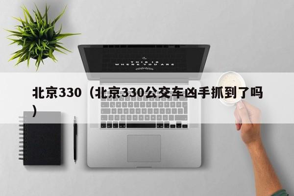 北京330（北京330公交车凶手抓到了吗）