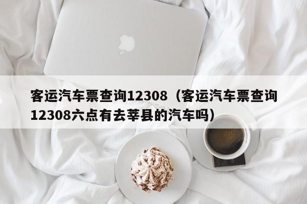 客运汽车票查询12308（客运汽车票查询12308六点有去莘县的汽车吗）