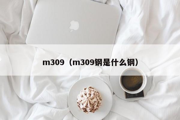 m309（m309钢是什么钢）