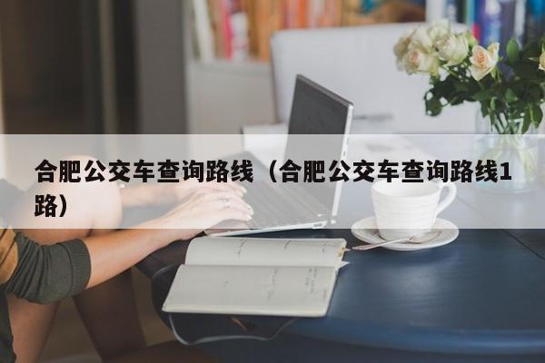 合肥公交车查询路线（合肥公交车查询路线1路）