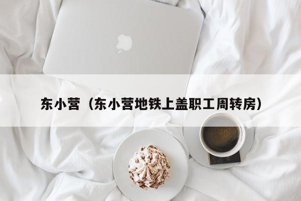 东小营（东小营地铁上盖职工周转房）