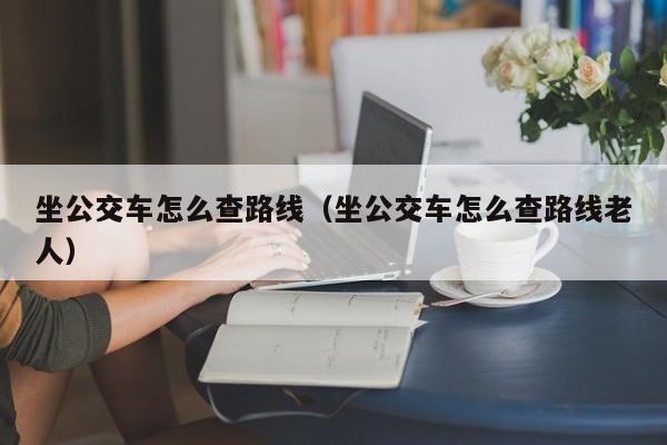 坐公交车怎么查路线（坐公交车怎么查路线老人）