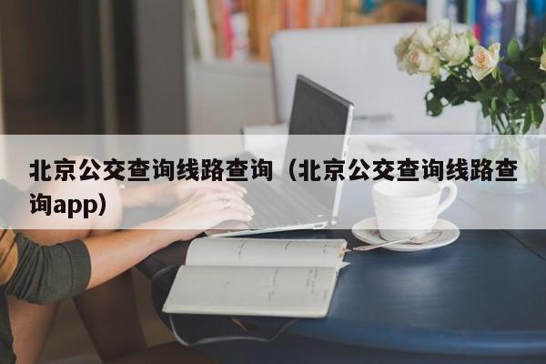 北京公交查询线路查询（北京公交查询线路查询app）