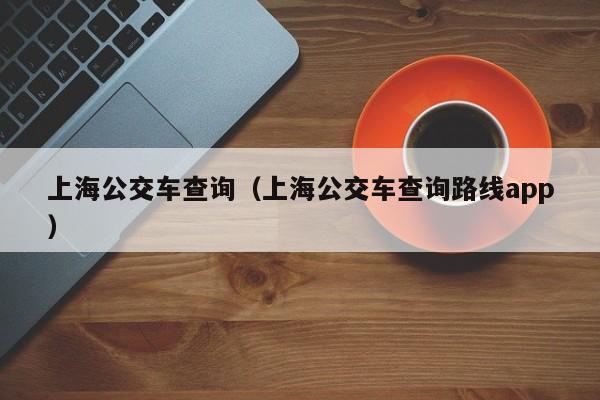 上海公交车查询（上海公交车查询路线app）