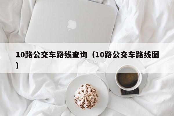 10路公交车路线查询（10路公交车路线图）