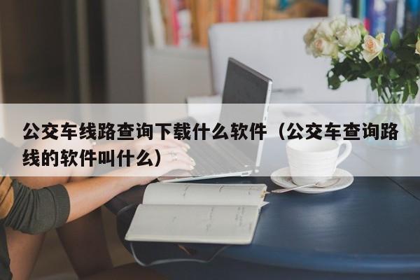 公交车线路查询下载什么软件（公交车查询路线的软件叫什么）