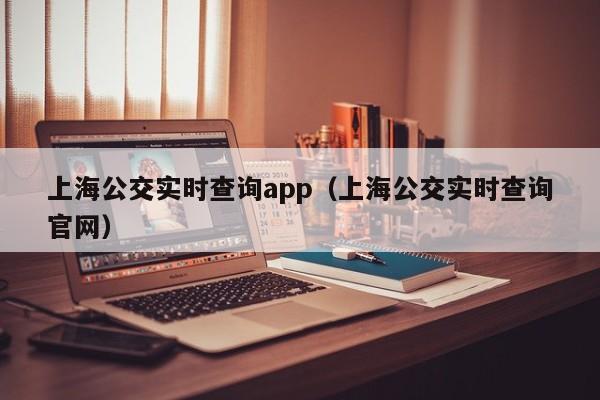 上海公交实时查询app（上海公交实时查询官网）